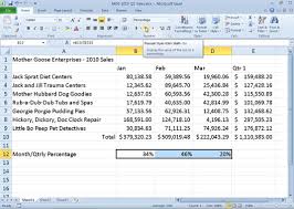 the percent number format in excel 2010