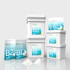 Bloom Nutrients Combo B1 B2