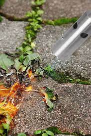 A Weed Torch To Control Weeds