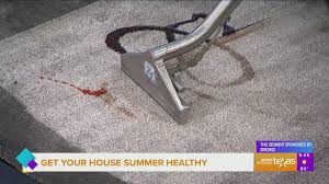 summer carpet cleaning wfaa