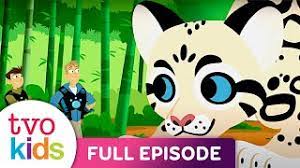 wild kratts cats and dogs