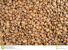 Light Roast Brown Coffee Beans Stock Image Image Of Lightly Workout 110179635