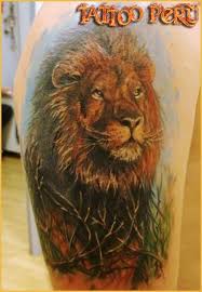 Plush red lion made from finest materials available at shockingly low prices. Tattoo Red Lion In The Grass Tattoos Pm Mens Lion Tattoo Colorful Lion Tattoo Lion Tattoo