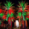 Palm trees with christmas lights pictures. 1