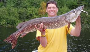 Trophy Fish Calculator For Walleye Northern Pike And Lake Trout
