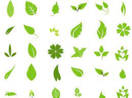  Green Leaf Design Elements Free Vector Graphics Leaf Design Leaves Vector