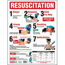 Brady Resuscitation Safety Wall Chart Poster Buzz Solutions