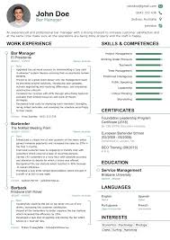 Preview of the Professional Resume Accountant     