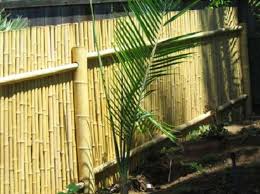 90 Projetos Com Cerca De Bambu E Dicas