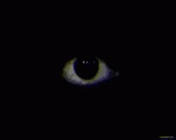 Image result for images eyes in darkness