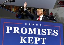 Image result for Trump campaigning 2018