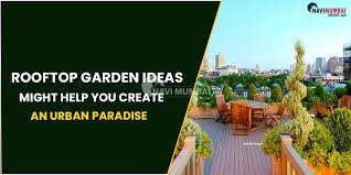 Rooftop Garden Ideas Might Help You
