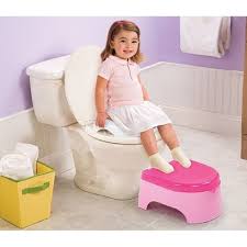 Potty Seat Buy Best Baby Potty Seats