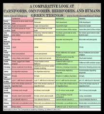 Comparison Chart Carnivores Omnivores Herbivores