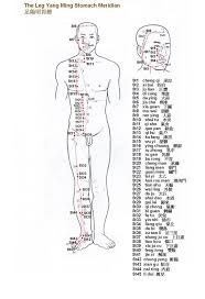 Acupuncture Points Leg Leg Yang Ming Stomach Meridian