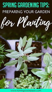 spring gardening tips preparing your