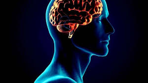 La muerte cerebral es uno de los fenómenos médicos más relevantes , dado que es un estado que sirve como criterio para determinar el punto en el que una persona deja de ser resucitable. Que Es La Muerte Cerebral Periodico El Vigia