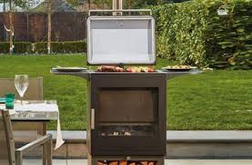 should you a pizza oven or bbq