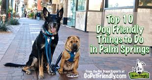 pet friendly things to do in palm springs
