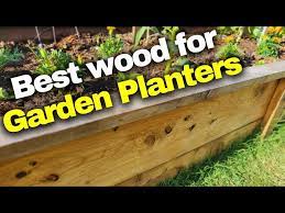 Wood Species For Raised Bed Planters