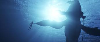 Så skapade James Cameron biosuccén Avatar: The Way of Water | Filmstaden  Nyheter