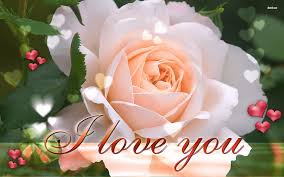 rosess with i love u mom hd wallpaper