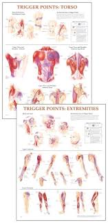 Trigger Point Wall Chart Set