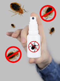 bed bugs naturally without