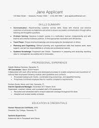 Resume Example With A Key Skills Section