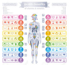 Mineral Vitamin Supplement Icons Health Benefit Flat Vector