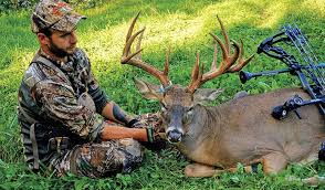 Should You Hunt Buck Bedding Areas