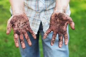 diy homemade hand scrub for gardeners