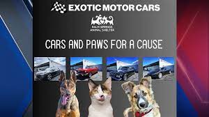 exotic motor cars is inviting you to