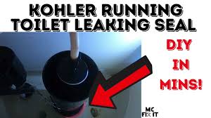 kohler toilet leaking canister seal