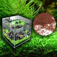 aquarium plant gr carpet seeds large