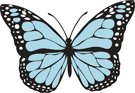 Obrázek, klipart Světlemodrý motýl zdarma ke stažení v rozlišení 1600x1100  px