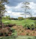 The Dye Preserve Golf Club in Jupiter, Florida, written by Pete ...