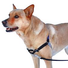 Dogs Petsafe Easy Walk Dog Harness Pet Supplies Pet Supplies