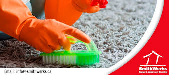 best carpet cleaners in vancouver