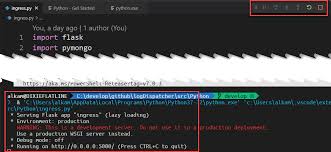 pip and python in visual studio code