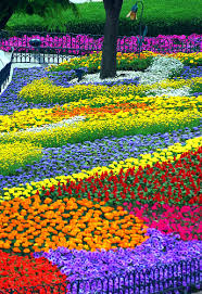 flower garden pictures pictures of