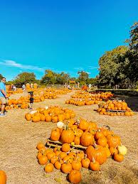 things to do in the fall in austin