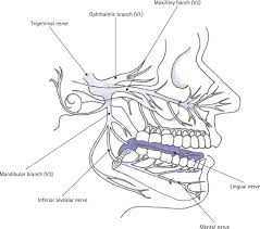 numb chin syndrome a case series and
