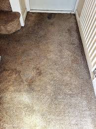 approved carpet upholstery cleaning