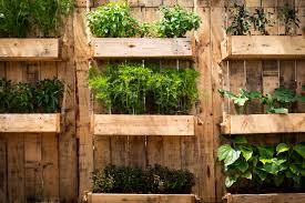 5 home vegetable garden ideas types