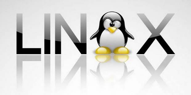 Conoce la historia de TUX la mascota de Linux - Blog de Especialistas Hosting
