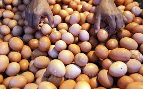 Harga telur ayam ras di banda aceh 21.600. Harga Telur Ayam Merangkak Naik Ini Penjelasan Peternak Ekonomi Bisnis Com