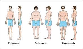 ectomorph nutrition to gain weight
