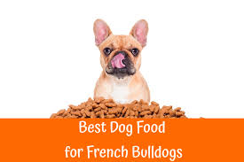 Best Dog Food For French Bulldogs Our Guide In 2019 Us Bones