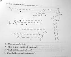 lipids are found in cell membranes